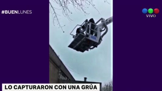 Capturan a un delincuente con una grúa