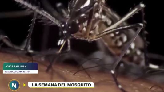 Semana de lucha contra el mosquito