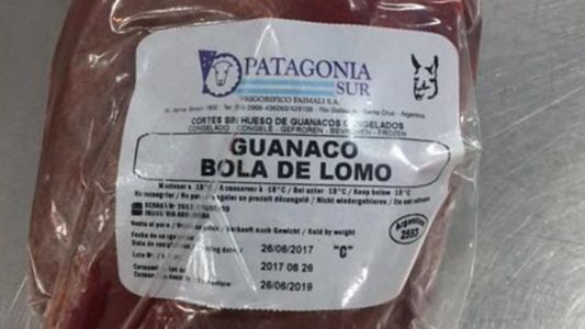 Prueba piloto: autorizan la venta de carne de guanaco