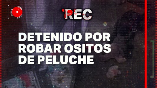 #REC - Detenido por robar ositos de peluche