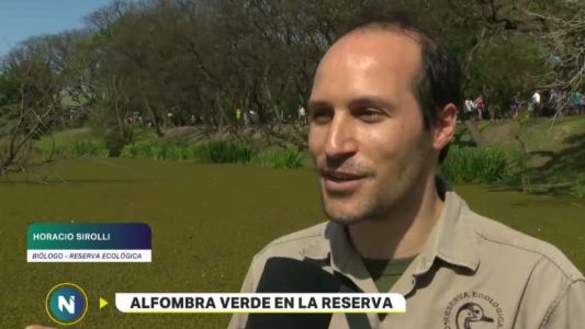 Sorpresa verde en la Costanera Sur