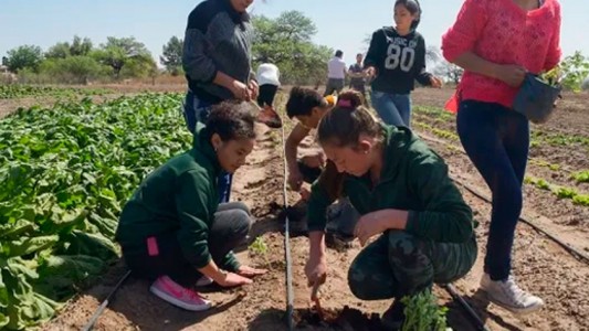 Capacitan a las escuelas agrarias bonaerenses para la producción de alimentos