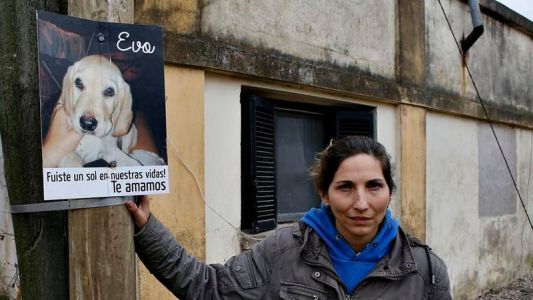 Más de 300 animales aparecieron envenenados en un pueblo rural cercano a La Plata