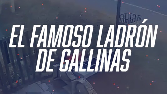 Atrapó una gallina y se volvió viral - #FlashChat