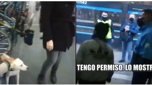 Viajaba con el perro en el tren y lo bajaron: ¿qué dice la ley?