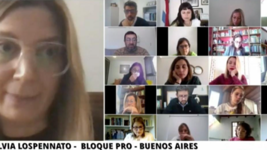 Avanza en Diputados un proyecto que incorpora la perspectiva de género a la legítima defensa