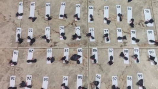 Santa Fe: cayó una banda narco dirigida desde la cárcel de Coronda