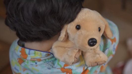 Emocionante video enseña por qué una mascota no es un regalo de Navidad