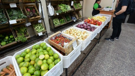 Frutas agroecológicas a precios populares: cuatro kilos por $290