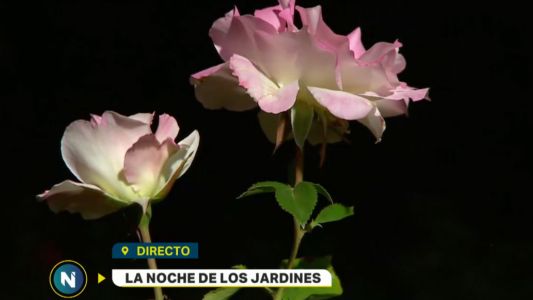 La Noche de los Jardines
