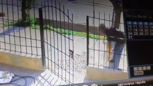 Video brutal: lo escracharon por tirar a un perro contra una reja
