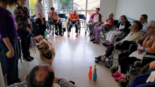 Proponen que perros y gatos puedan convivir con adultos mayores en los geriátricos porteños