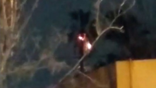 Un rayo cayó en Temperley e incendió una palmera