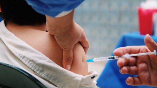 Aprobación de las vacunas Moderna y Sinopharm en menores es "inminente", según Gollan