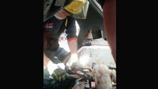 Bomberos trabajaron una hora para liberar a una perra atrapada en un auto