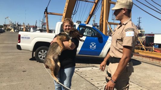 Una familia adoptó al perrito que Prefectura había rescatado del Riachuelo
