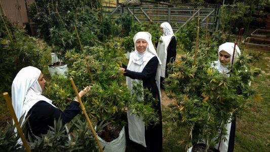 Una monja de 91 años usa aceite de cannabis para calmar sus dolores recomienda su consumo