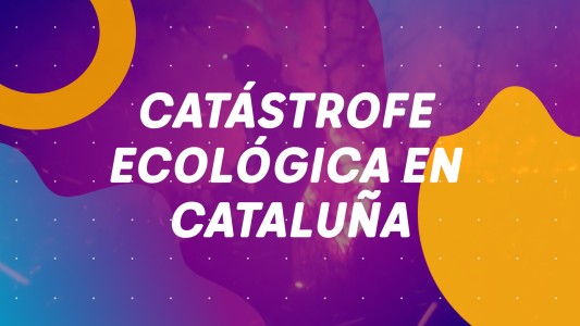 #BuenFlash con Adrián Puente ⚡️  Los títulos de la mañana 👇  📌CATÁSTROFE ECOLÓGICA EN CATALUÑA 📌EL PRESIDENTE VIAJA A PERÚ 📌LLEGARON MÁS VACUNAS 📌JUEGOS OLÍMPICOS
