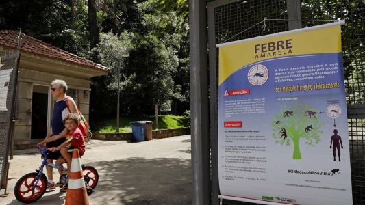 Médicos del Mundo advierte una posible "reaparición" de la fiebre amarilla en Argentina