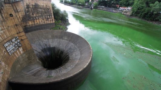 Alerta por contaminación: el lago San Roque está de color verde flúo