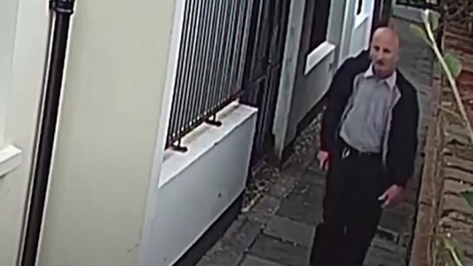 Condenaron a asesino serial de gatos a cinco años de prisión