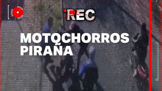 Motochorros pirañas atacan sin piedad - #REC