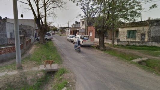 Mató a machetazos al pitbull de un vecino porque había matado a su caniche toy
