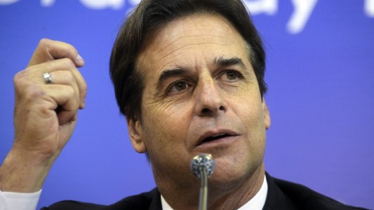 Uruguay confirmó que permitirá el ingreso de propietarios extranjeros vacunas y con PCR negativo a partir de septiembre