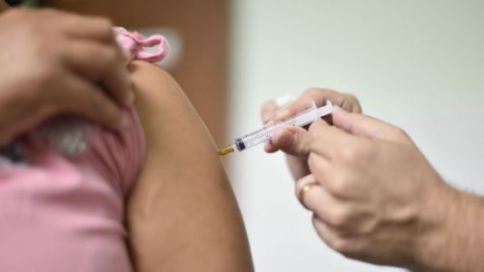 Detectaron el primer caso importado de fiebre amarilla en el país