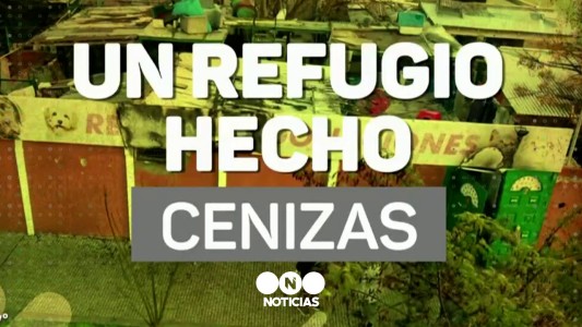 Se incendió un refugio de animales en Quilmes: murieron gran cantidad de gatitos y piden donaciones