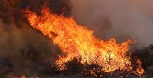 Drama en Córdoba: se quemaron 80 casas por un incendio forestal