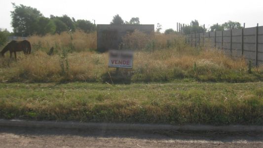 Alquilaron una casa para las vacaciones y cuando llegaron se encontraron con un terreno baldío