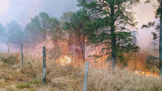 Controlaron el fuego en Córdoba, pero continúan las tareas para evitar reinicios