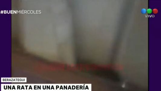 Clausuran una panadería por la presencia de ratas