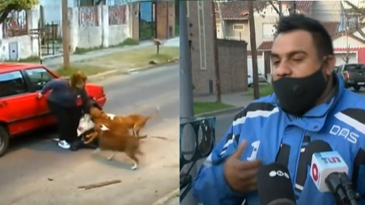 Perros atacaron a una vecina": "Ni yo los podía controlar", dijo uno de los dueños