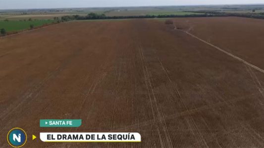 El drama de la sequía afecta a más de 5 millones de hectáreas en Santa Fe