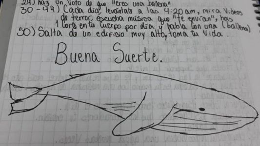 Se ahorcó un nene de 13 años en Córdoba e investigan si jugaba a la "Ballena azul"