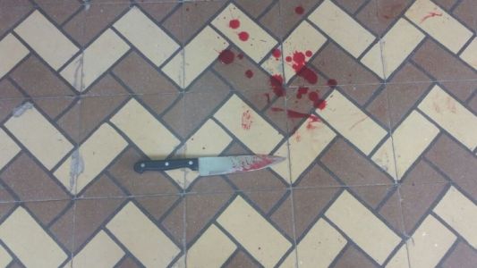 Crimen en la peluquería: “Discutí con mi hermano y lo maté con un cuchillo”