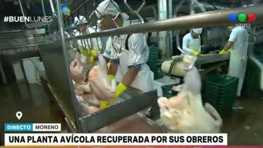 Una planta avícola recuperada por sus obreros