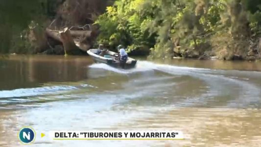 La tragedia en el Delta reaviva el miedo de los isleños por el descontrol de embarcaciones