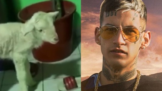 Para grandes, chicos y también animales: una cabra canta el abecedario de L-Gante