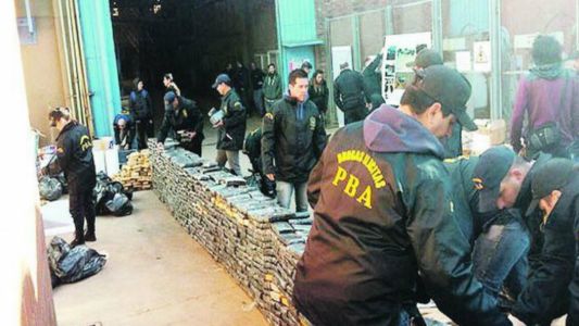 Aseguran que las ratas se comieron 540 kilos de marihuana incautada