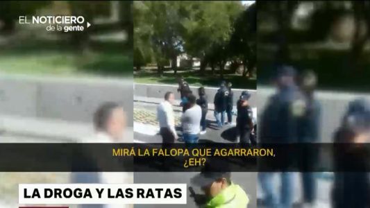 "Narcoratones": revelaron que faltaba el doble de marihuana y que no fue comida por los roedores