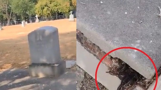 Video de terror: descubrió pelos saliendo de una tumba de más de 100 años