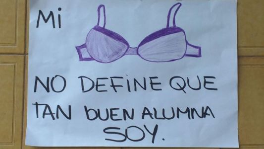 Sancionaron a una chica por no usar corpiño en el colegio y sus compañeros salieron a defenderla