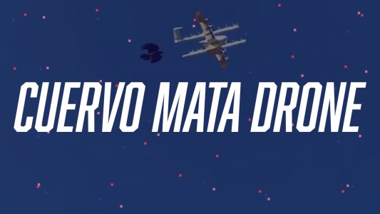 Un cuervo "cazó" a un drone en pleno vuelo