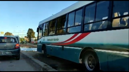 VIDEO: denuncian que colectivos circulan por la "vereda" para evitar la fila de autos