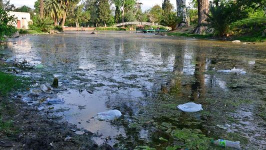 Córdoba: compraron peces para limpiar el lago artificial del Parque Sarmiento