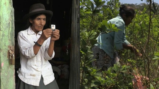 Los cocaleros peruanos viven atrapados entre Sendero Luminoso y los narcos