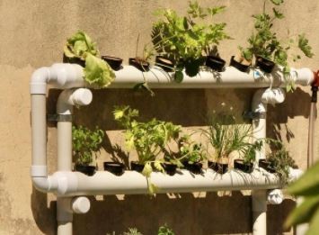 Capacitarán sobre los beneficios de las huertas hidropónicas en la Ciudad